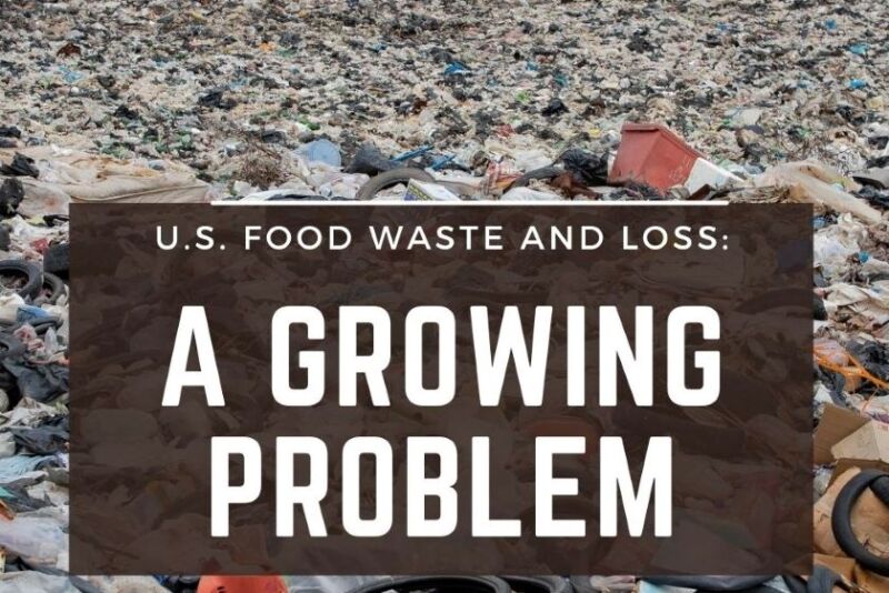 Food waste and loss