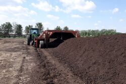 Compost Pile