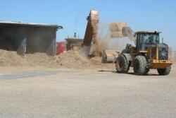 Feedlot_Feed_Commodity