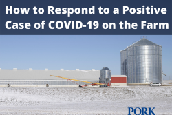 COVID on the Farm
