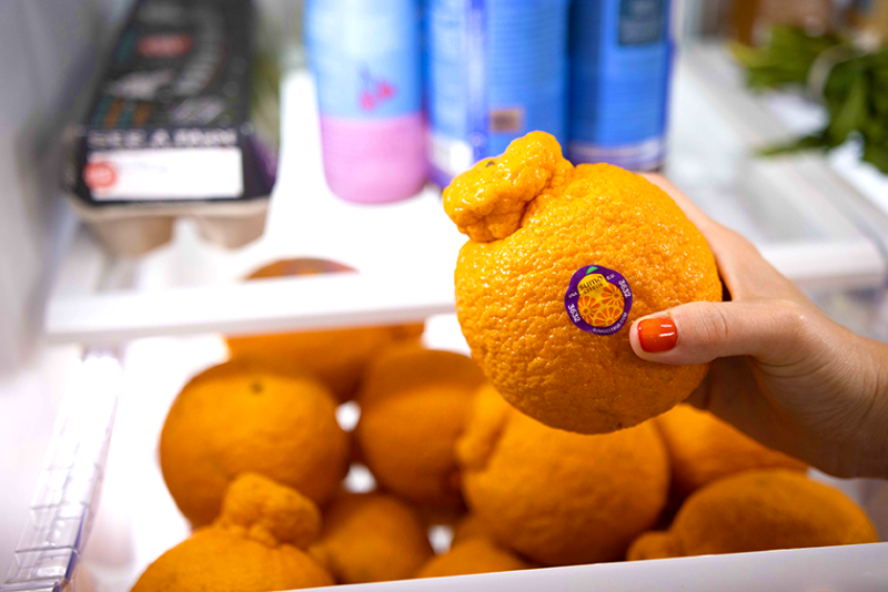 A pile of Sumo citrus. Photo courtesy Sumo Citrus