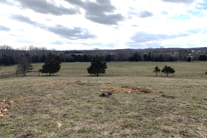 Forage producers must get back to the basics of farming to reset post-drought pastures.