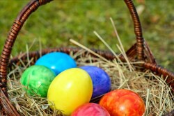 An Easter egg hunt will cost more this year as prices surge 37% over last year.