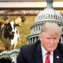 Green New Deal fact sheet continues to spark controversy with a call for reduction in farting cows.