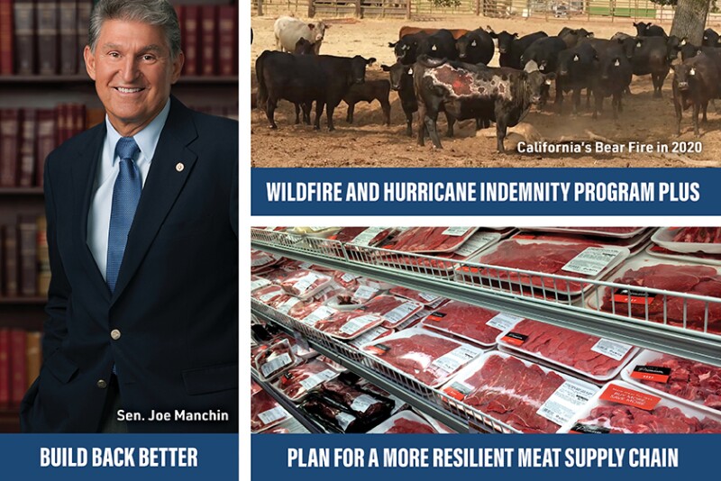 COVID-19-related legislation continues to run the House gavel, while rural America urges Congress to deliver on its economic relief promises. Here are three issues to watch.