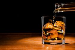 Cocktail_Canva