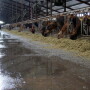 Like it or not, feed prices have dramatically risen year-over-year, and leading experts advise producers to gain some control over their feed costs.