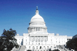 Government