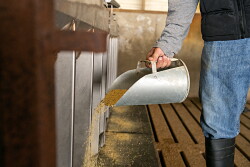 Feed scoop