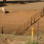 Texas dry pond
