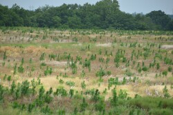 “There may be a win-win opportunity out of this for some folks. If it's a field that has been historically wet, going to prevent plant may offer an opportunity to do a summer tile project and, improve the drainage on that farm.” 