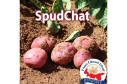 spudchat