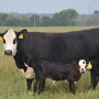 COVID-19 has put higher costs into the system.