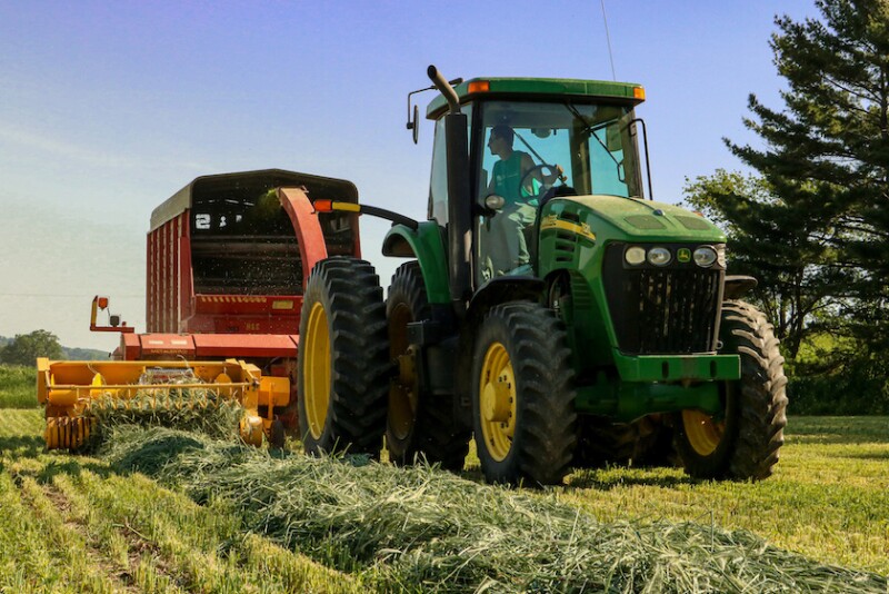 Cover crops can benefit dairy producers as a forage source for young stock by saving higher quality forages for lactating cows. 
