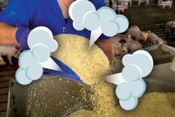 Poof Feed wastage