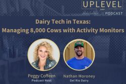 Peggy Coffeen, Uplevel Dairy Podcast