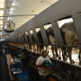In 2017, just 13 counties across the country were needed produce 25% of the nation’s milk. New to the top 25% production list in 2019 were Hartley, Tex., and Madera, California. Chavez, N.M., dropped off the list.