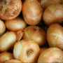 D7120EDA-1394-42E6-AECCA736CC37E680.png