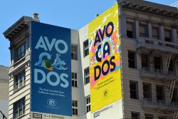 CAC-2021-SF-Board-2.png