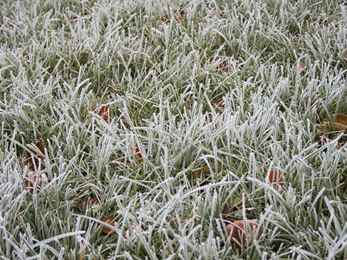 Memorial Day weekend featured a late frost for the Upper Midwest and Northern Plains.