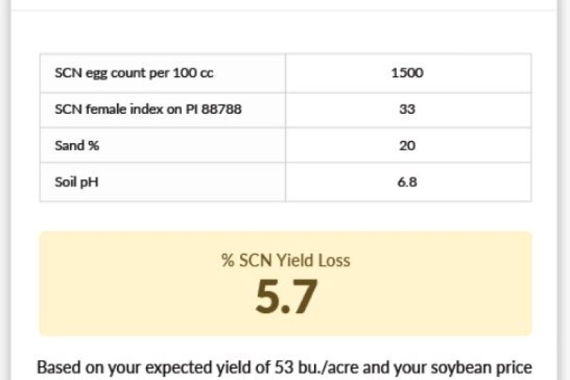 SCN-Profit-Checker-Results.jpg
