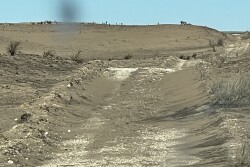 Fire road.jpeg