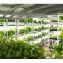 Shenandoah Growers' newest facility (not pictured) will be operational this fall.