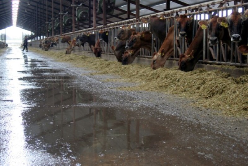 Like it or not, feed prices have dramatically risen year-over-year, and leading experts advise producers to gain some control over their feed costs.