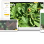 agroscout