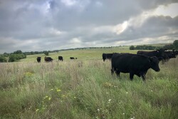 G Bar C Ranch