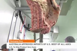 Big Wins for Beef Exports: What It Means for the Industry