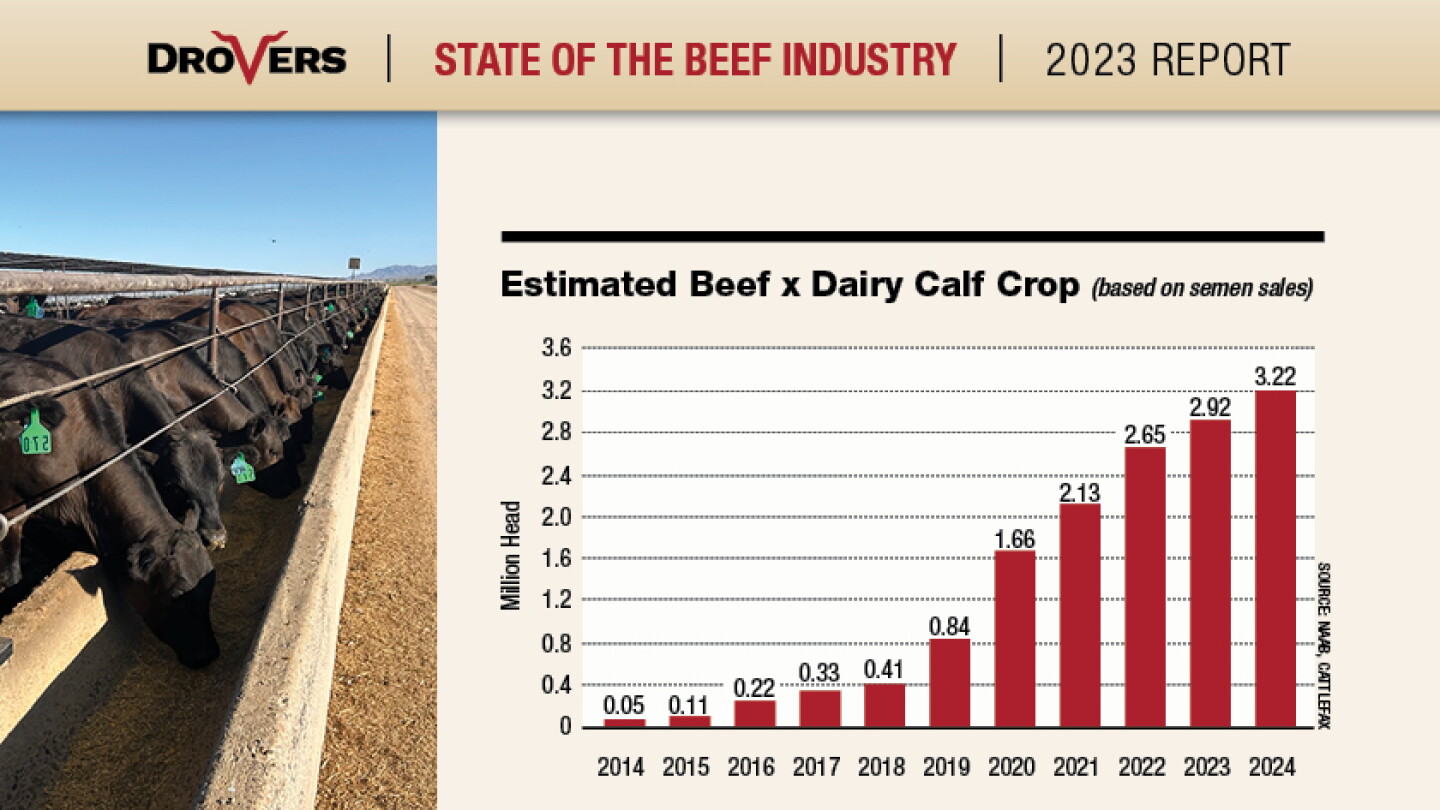 Beef Crops Beef-on-Dairy: A Revolution in American Beef Production? - Dairy Herd