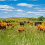Duck Bar Ranch