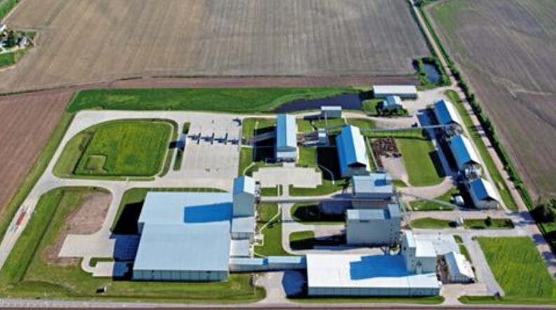 敦煌种业(600354)涨停分析:原因探究与后续走势预判