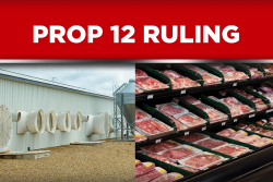 Prop 12 Ruling