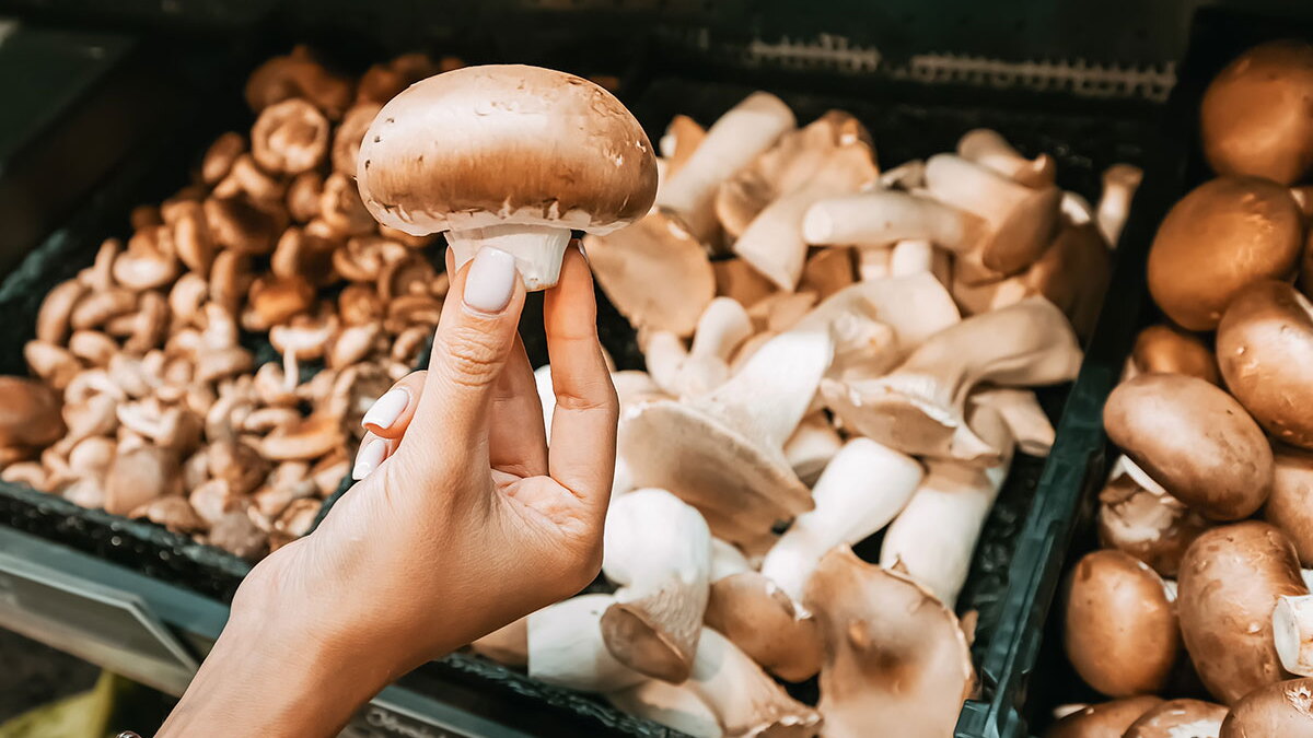 mushrooms and glp 1 Consumers Expect More From the Mushroom Aisle: Are You Delivering? mushrooms and glp 1 Consumers Expect More From the Mushroom Aisle: Are You Delivering?