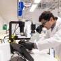 Adham Ali, A24, examines specimens under a microscope in the Kaplan Lab. 