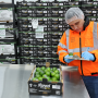 D Produce Co. limes