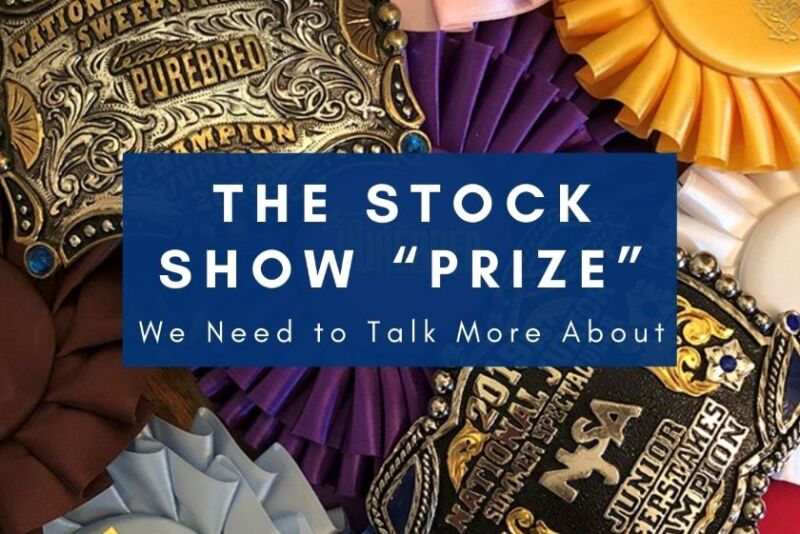 Stock Show Prize Dark Blue