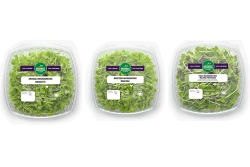 Seven microgreens products from Greenbelt Greenhouse distributed to Whole Foods stores in Washington have been recalled after a state agency's inspection detection listeria.
