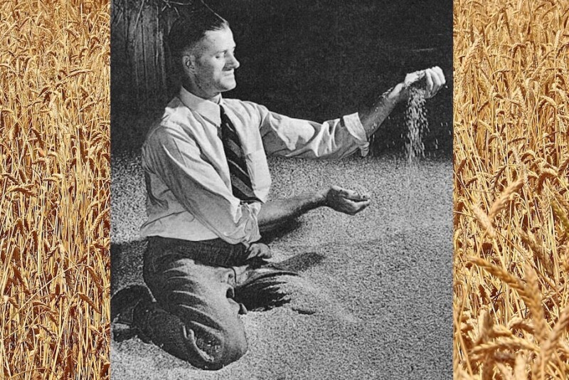 Roscoe’s Rebellion: Ohio Farmer’s Fight Against Federal Power