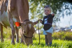 Valley Gem Farm