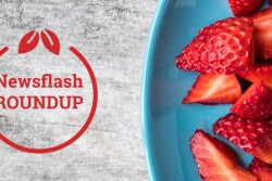 Newsflash Roundup