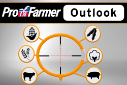 Pro Farmer Market Outlook