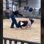 Big T Hampshire Barrow on TikTok