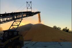Not only did USDA trim the new crop corn forecast, but the agency also confirmed Friday the second-biggest corn buy on record. U.S. Farm Report analysts explain why the market may be unphased by all the news. 