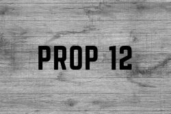 Proposition 12