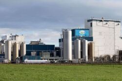 The New Zealand-based firm expects to return NZ$1 billion to investors over the next decade on the back of asset sales and an expected uptick in earnings, its chairman and chief executive said at an annual meeting.