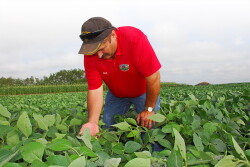 If successful pest control constitutes a run scored, then the four bases you have to touch are time, equipment, people and products. 