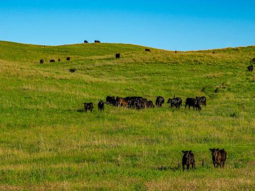 Minnechaduza Creek Ranch